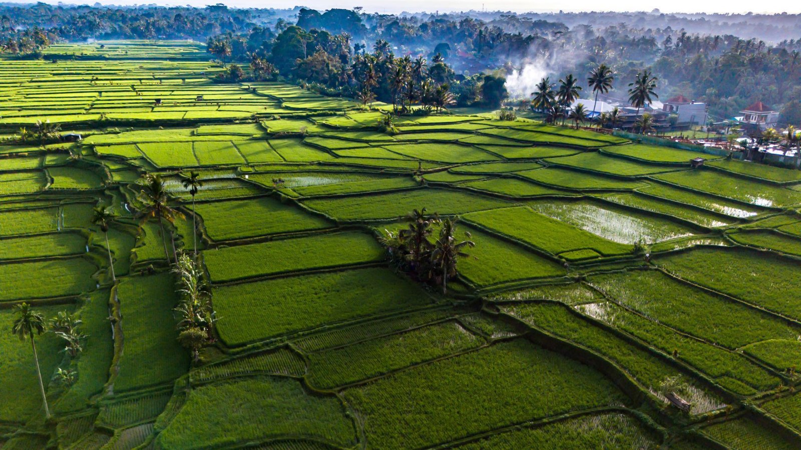 Payangan