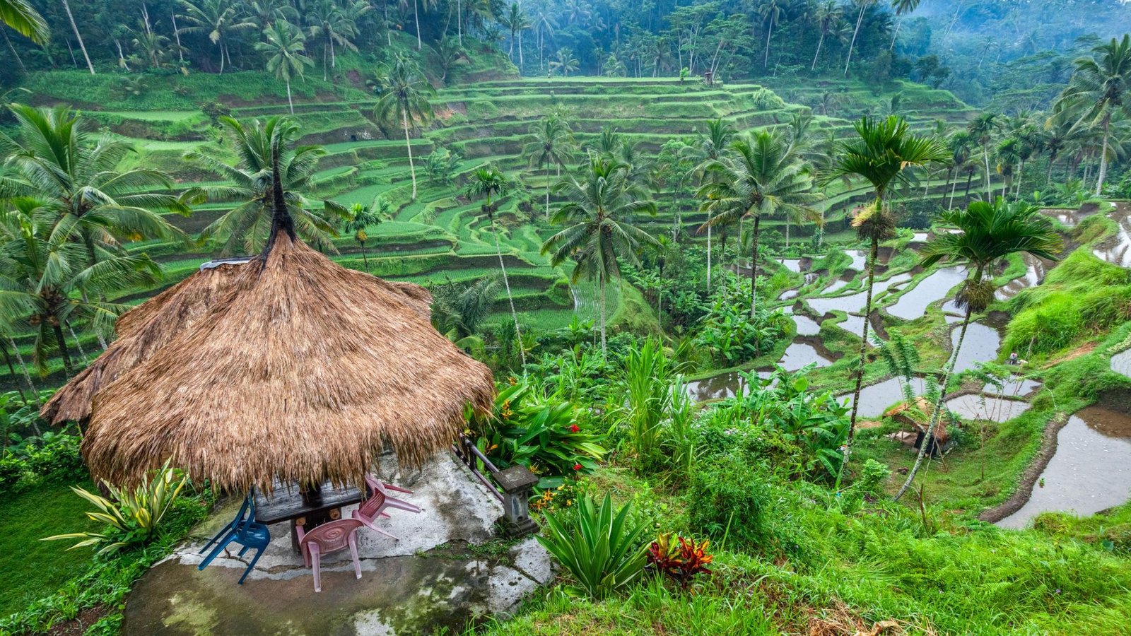 Tegalalang