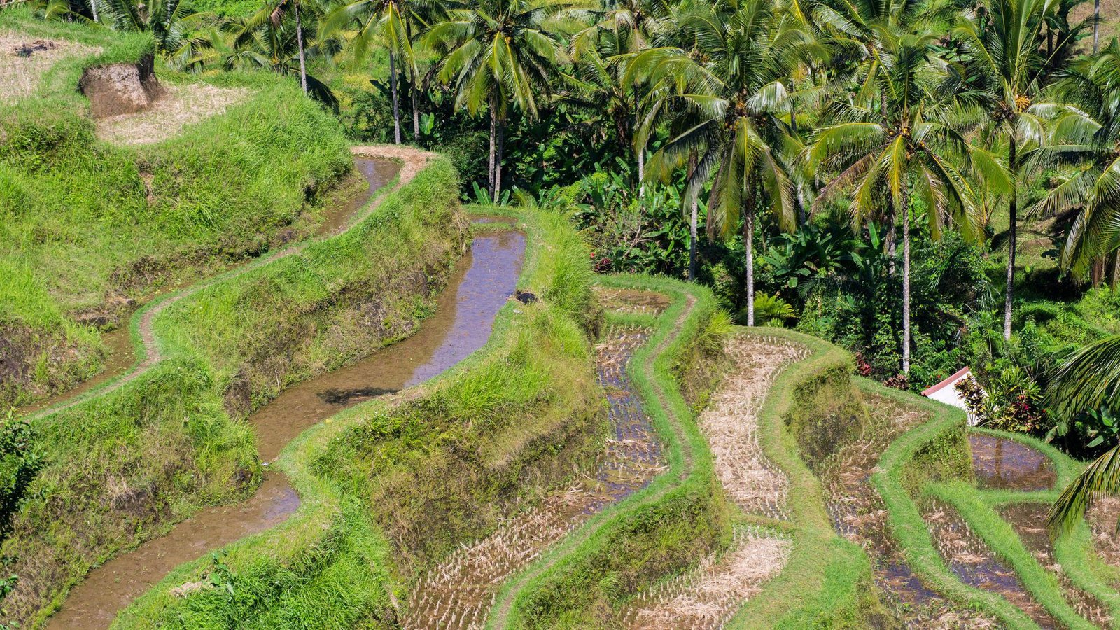 Ubud